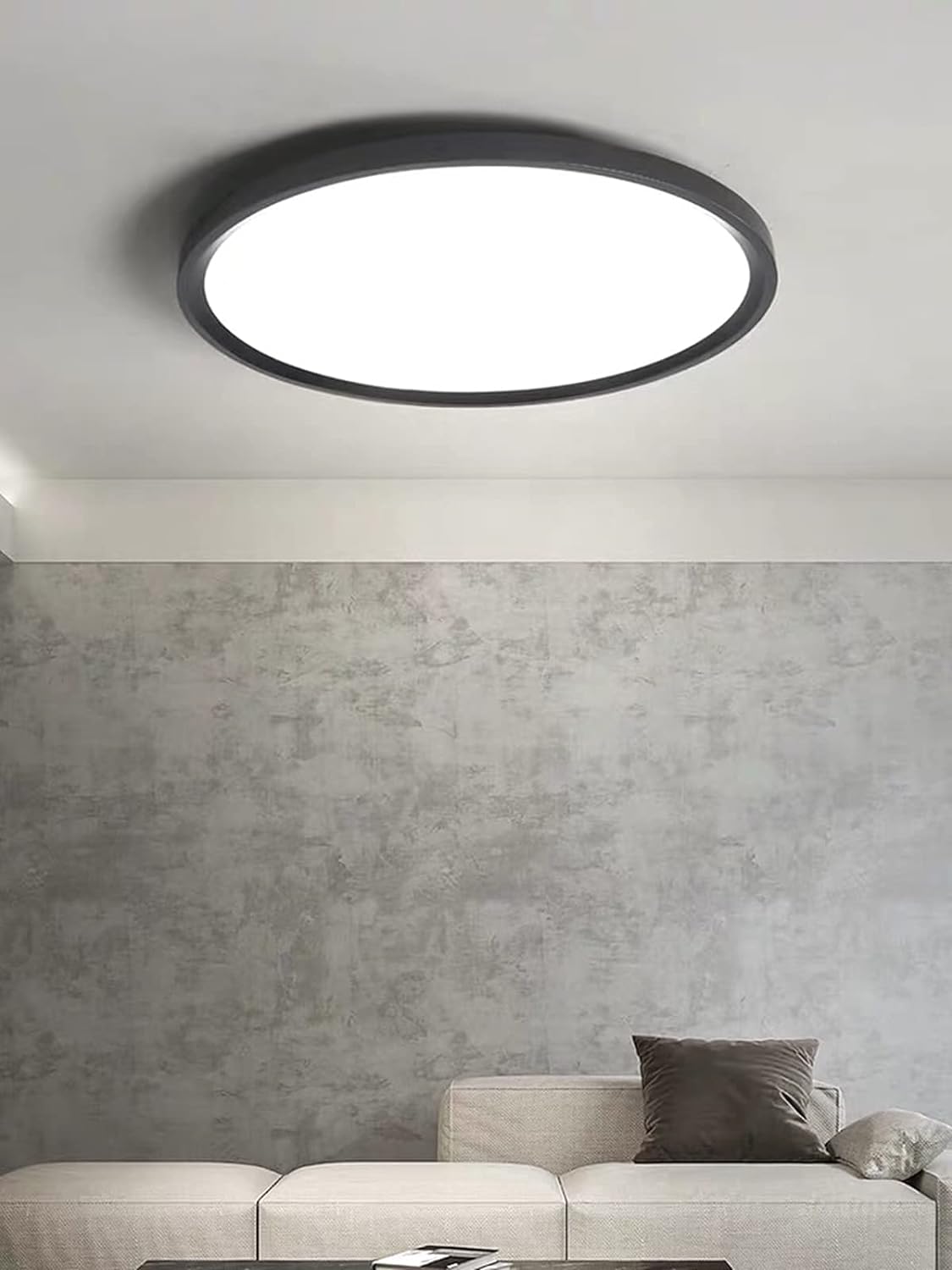 Ceiling Light LED Black Round 24 W Dimmable / 4000 K Neutral White [Energy Class F]