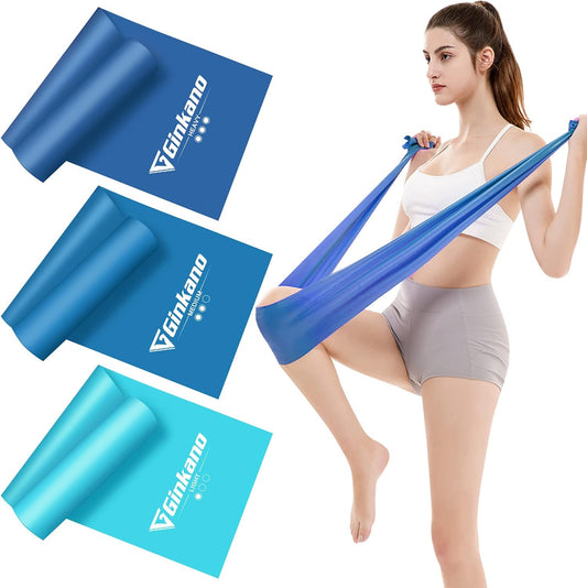 Resistance Bands Set, [Set of 3] Skin-Friendly Exercise Bands with 3 Resistance Levels, Workout Resistance Bands Set for Women Men, Ideal for Strength Training, Yoga