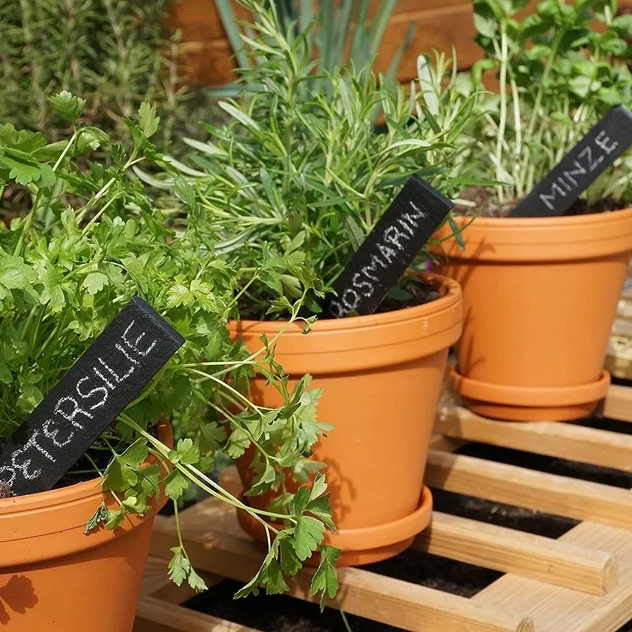 Pack of 9, Plant signs made of slate, 15x2.5cm or 20x3cm in a practical set, Herb signs Slate plugs for individual labeling for herbs, vegetables, beds in the garden or place cards