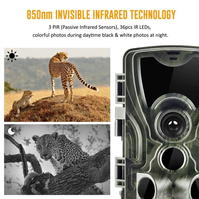 20MP 1080P Trail Wildlife Camera + 8GB HC801A IP65 Waterproof Night Vision Photo Traps Wildlife Cam Home Safety Cameras