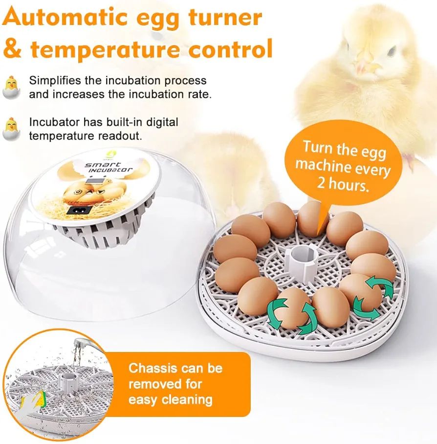 Incubator Chickens Fully Automatic Incubator 12 Egg Incubator with Display, Temperature Control Egg Incubation Hatcher for Chicken Goose, Duck, Dove, Quail, Bird (12 Eggs)