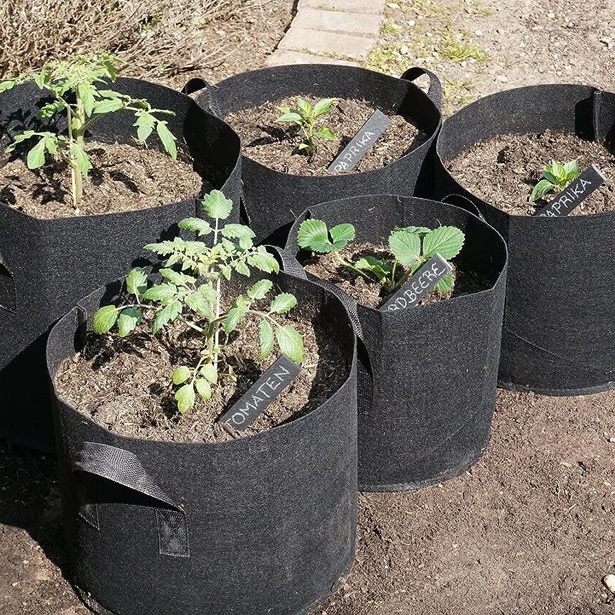 Pack of 9, Plant signs made of slate, 15x2.5cm or 20x3cm in a practical set, Herb signs Slate plugs for individual labeling for herbs, vegetables, beds in the garden or place cards