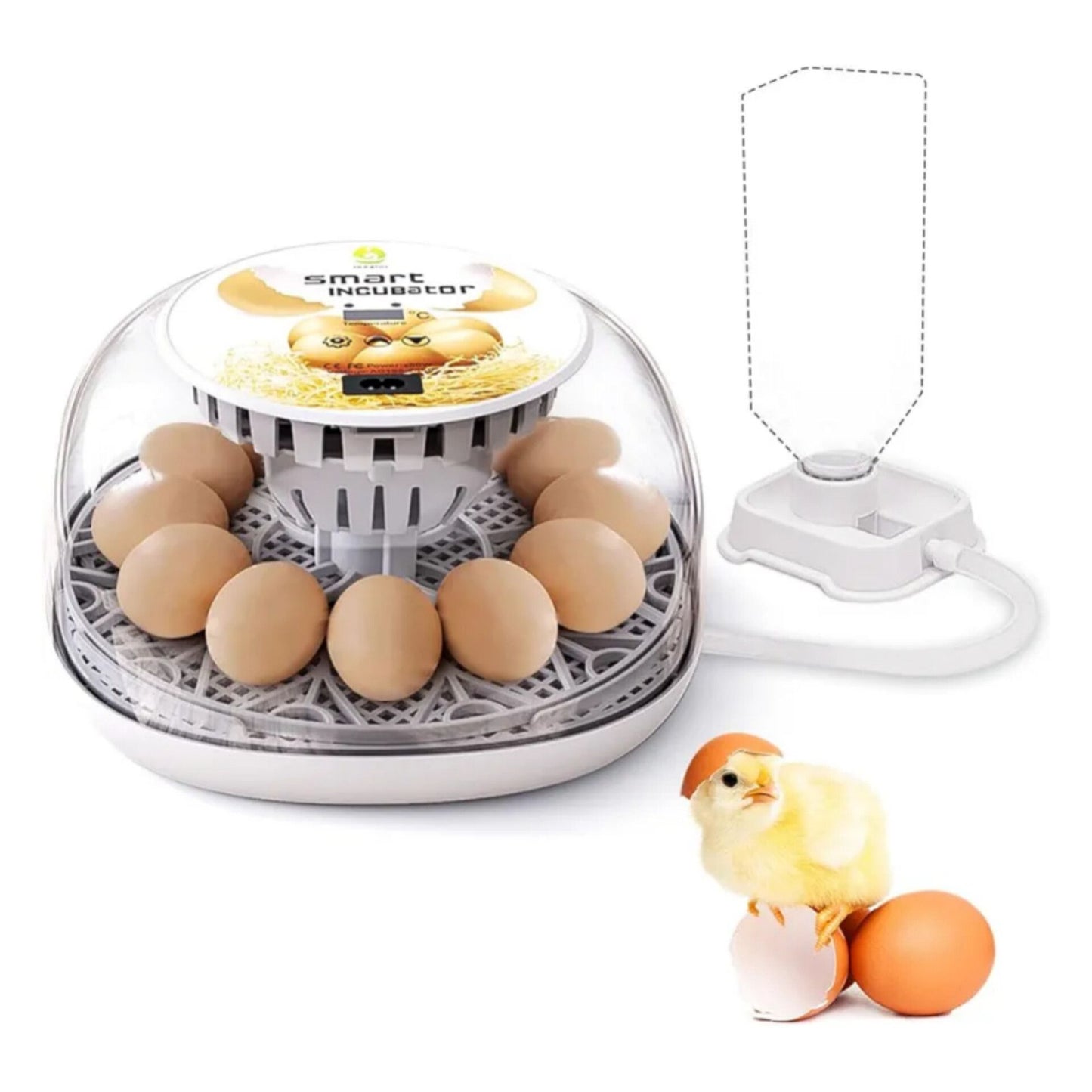 Incubator Chickens Fully Automatic Incubator 12 Egg Incubator with Display, Temperature Control Egg Incubation Hatcher for Chicken Goose, Duck, Dove, Quail, Bird (12 Eggs)