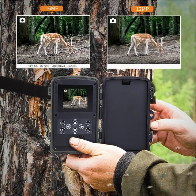 20MP 1080P Trail Wildlife Camera + 8GB HC801A IP65 Waterproof Night Vision Photo Traps Wildlife Cam Home Safety Cameras